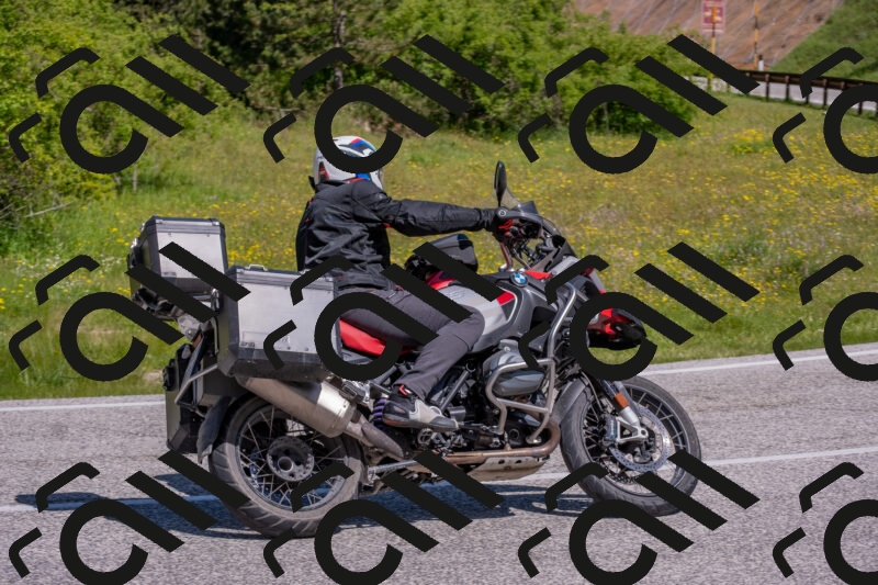 202506021052-DSC_7531_c4_