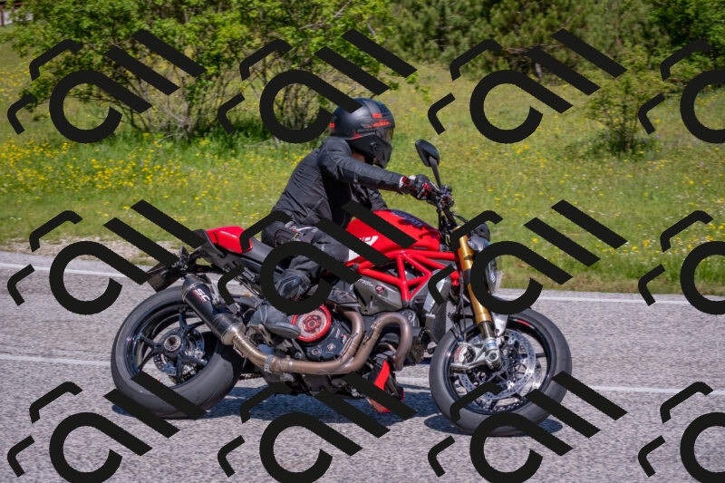 202506021052-DSC_7534_c4_