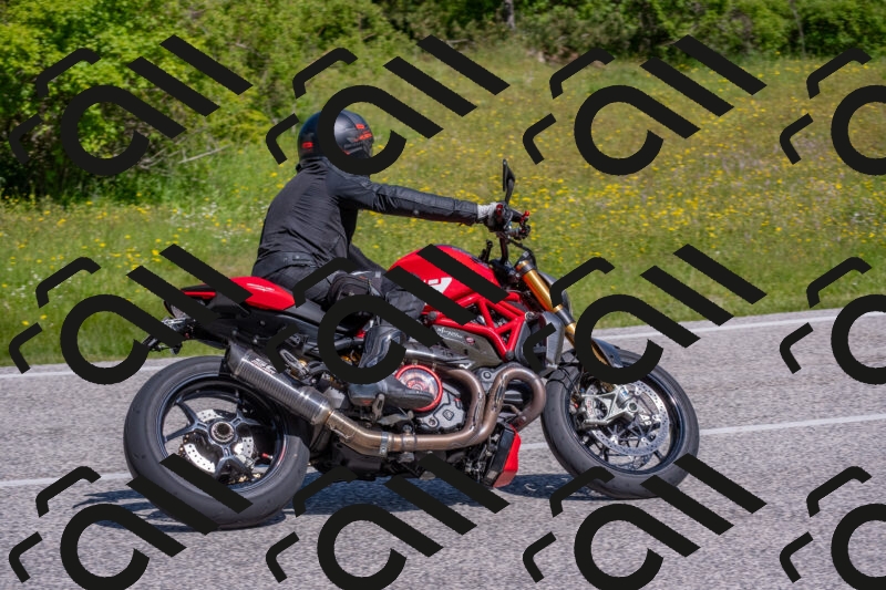 202506021052-DSC_7535_c4_