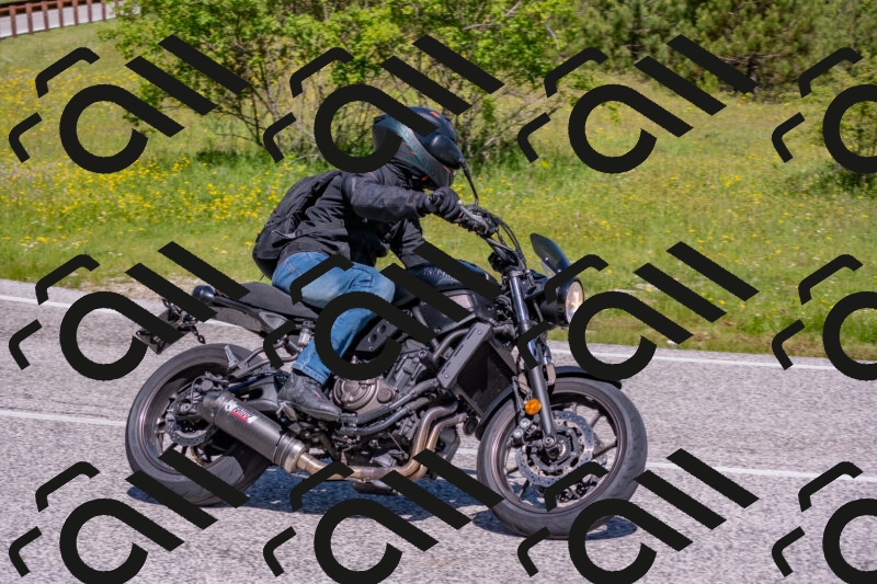 202506021053-DSC_7544_c4_