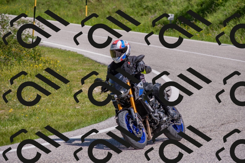 202506021053-DSC_7549_c4_