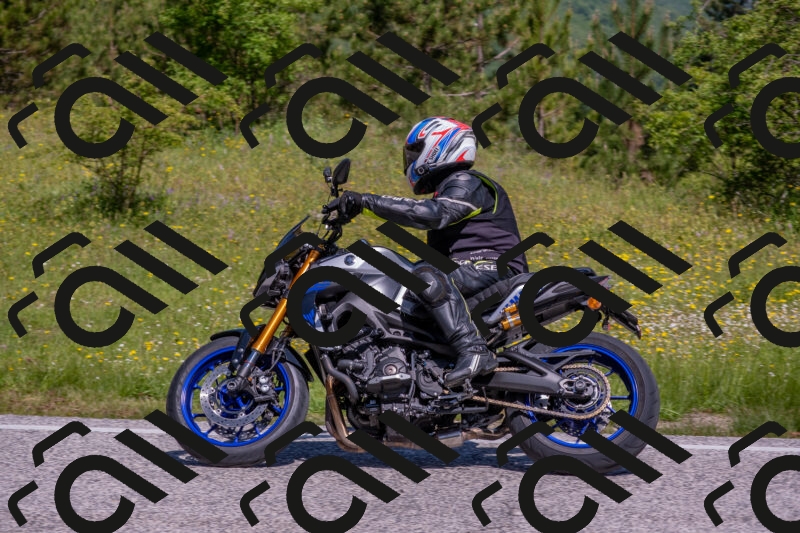 202506021053-DSC_7551_c4_