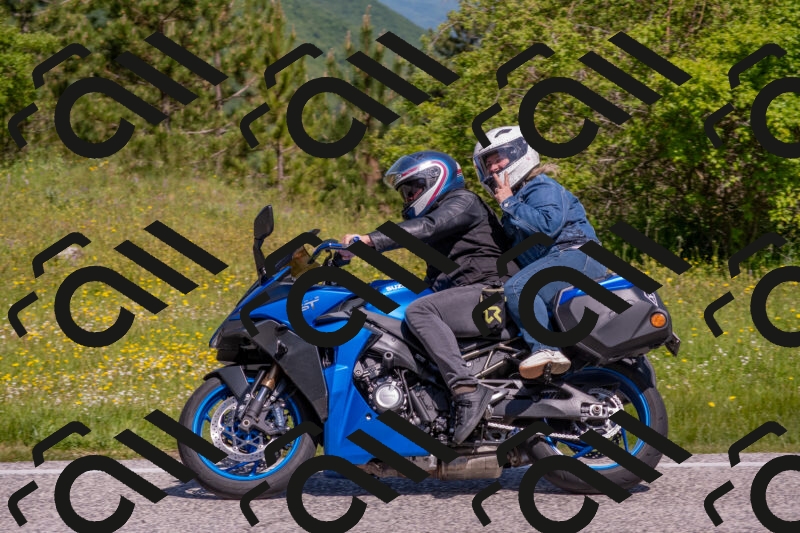 202506021054-DSC_7554_c4_