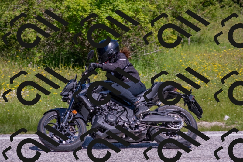 202506021054-DSC_7557_c4_