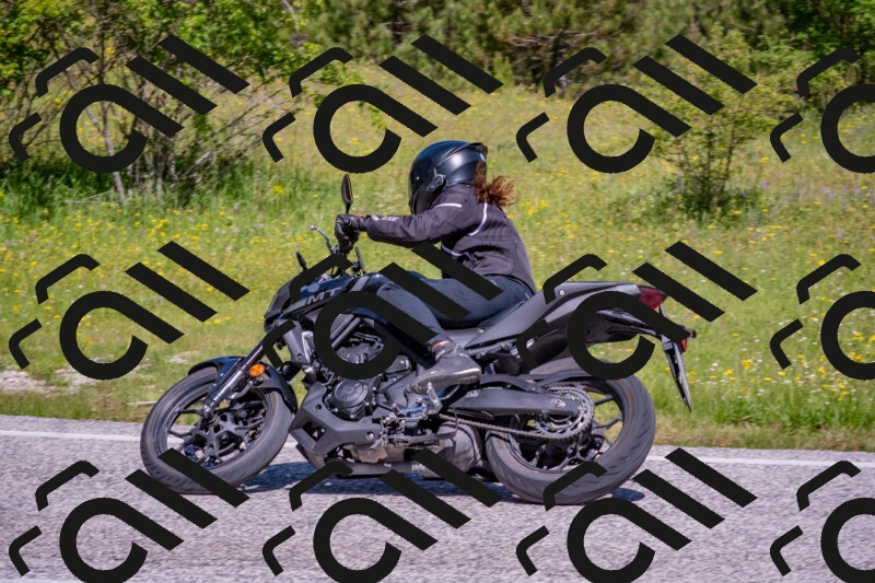 202506021054-DSC_7558_c4_