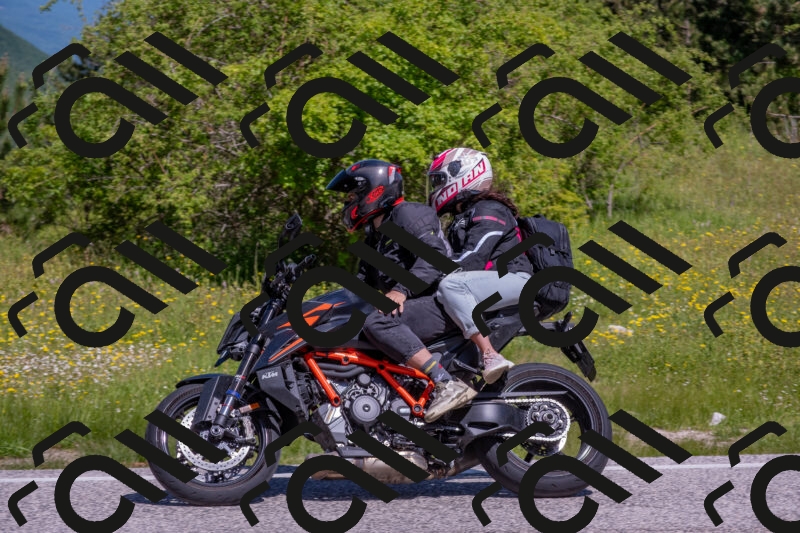 202506021054-DSC_7560_c4_