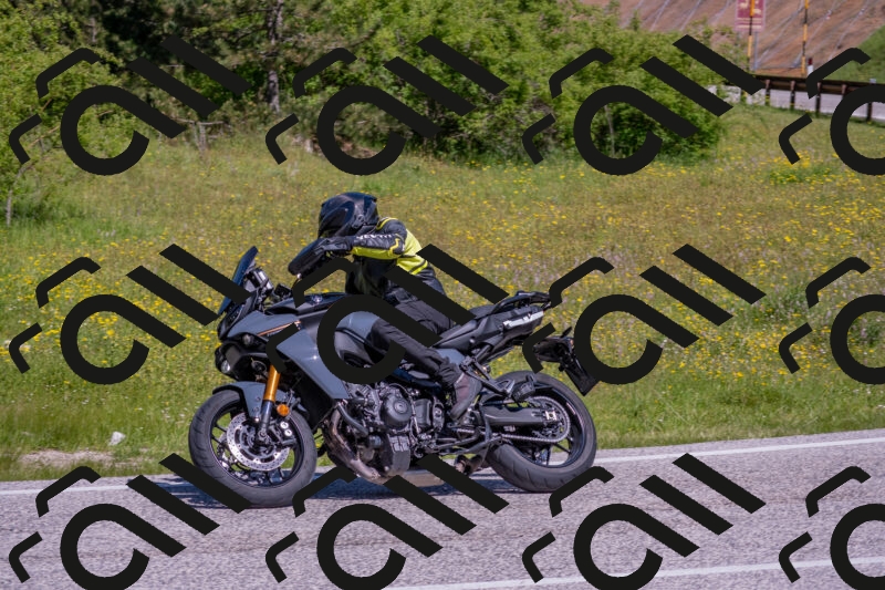 202506021054-DSC_7562_c4_