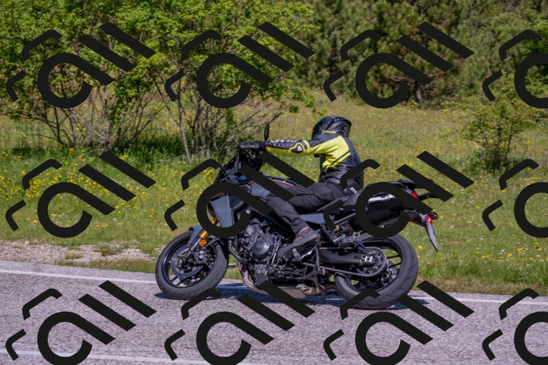 202506021054-DSC_7564_c4_