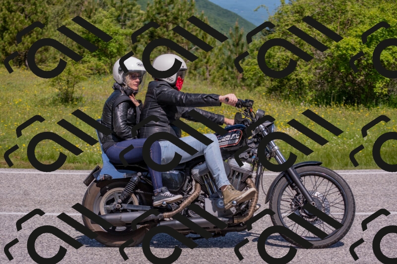 202506021056-DSC_7576_c4_