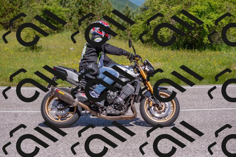 202506021058-DSC_7588_c4_