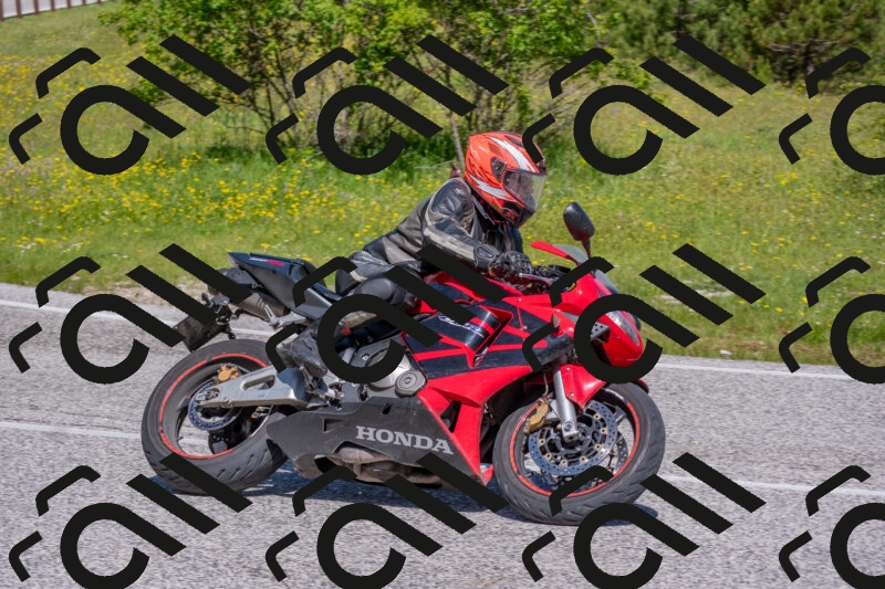 202506021058-DSC_7590_c4_