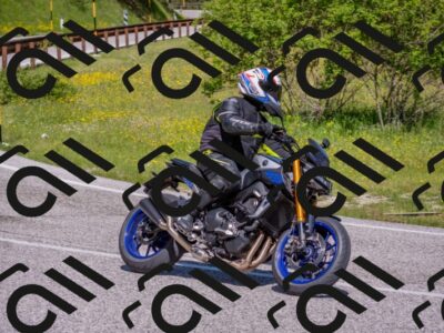 202506021059-DSC_7596_c4_