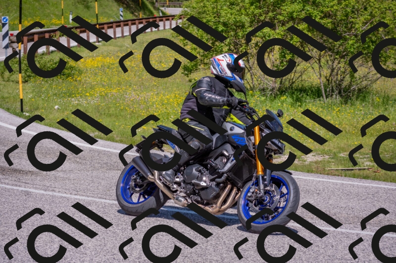 202506021059-DSC_7596_c4_