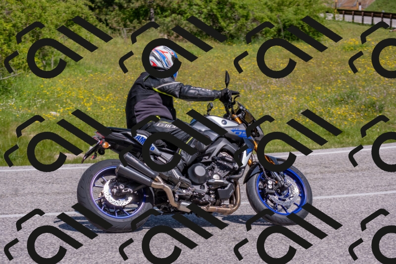 202506021059-DSC_7597_c4_