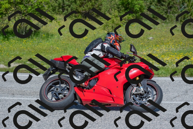 202506021101-DSC_7617_c4_