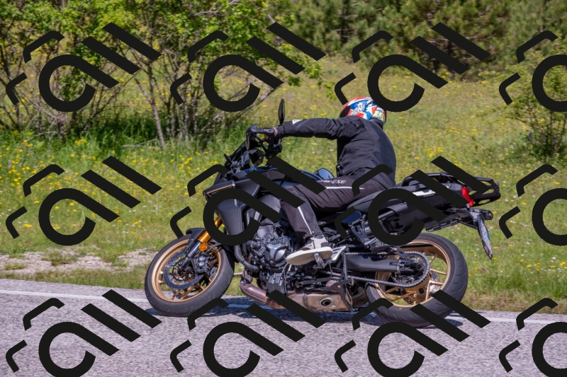 202506021101-DSC_7621_c4_