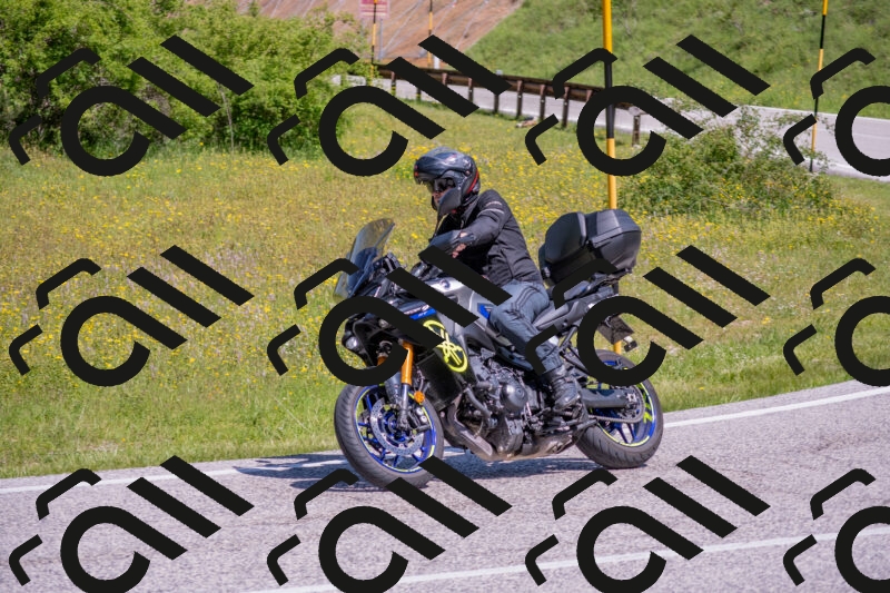 202506021103-DSC_7628_c4_