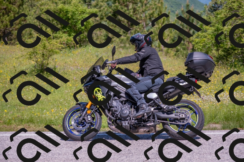 202506021103-DSC_7630_c4_