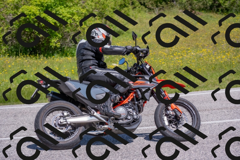 202506021103-DSC_7633_c4_