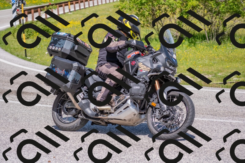 202506021103-DSC_7635_c4_