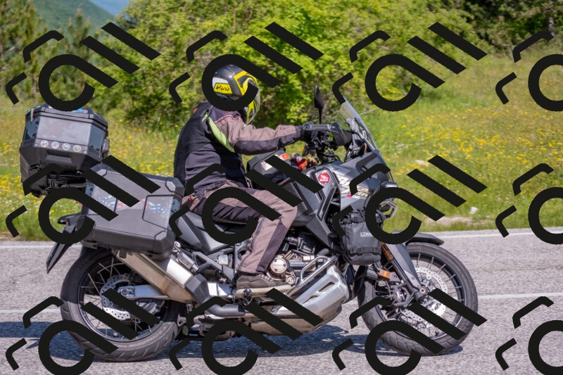 202506021103-DSC_7636_c4_