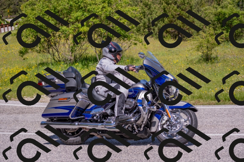 202506021103-DSC_7640_c4_