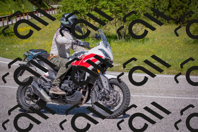 202506021104-DSC_7654_c4_