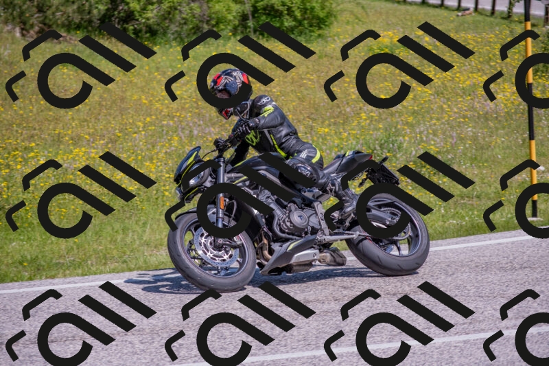 202506021106-DSC_7663_c4_