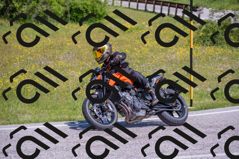 202506021106-DSC_7667_c4_