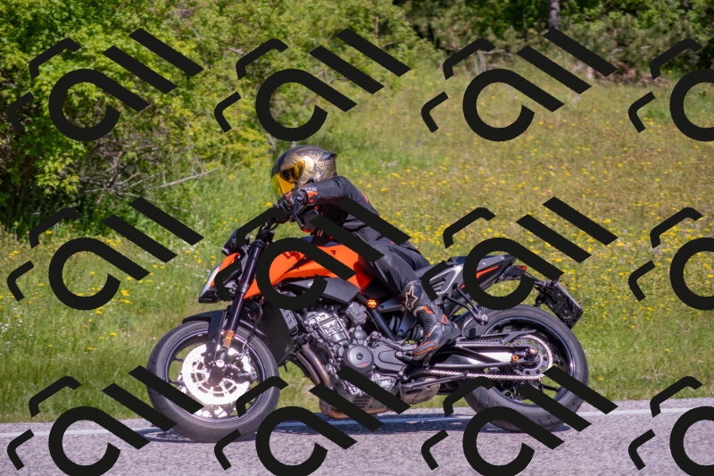 202506021106-DSC_7668_c4_