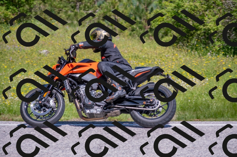 202506021106-DSC_7669_c4_