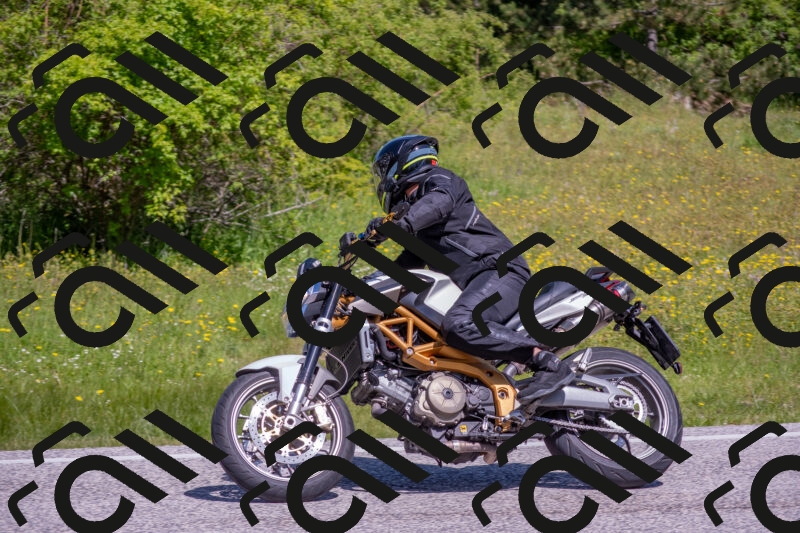 202506021106-DSC_7671_c4_