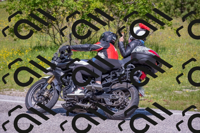 202506021106-DSC_7683_c4_