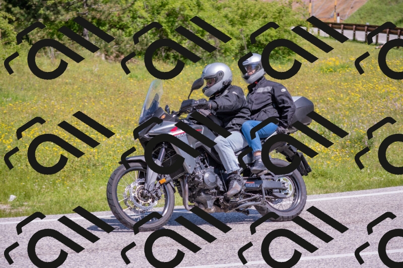 202506021107-DSC_7684_c4_