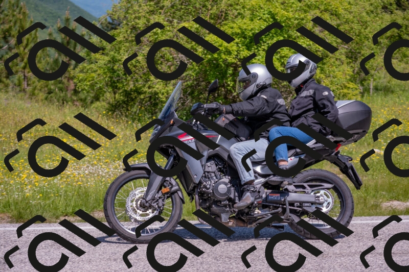 202506021107-DSC_7685_c4_