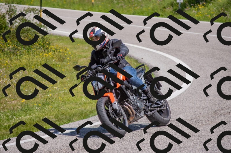 202506021108-DSC_7687_c4_