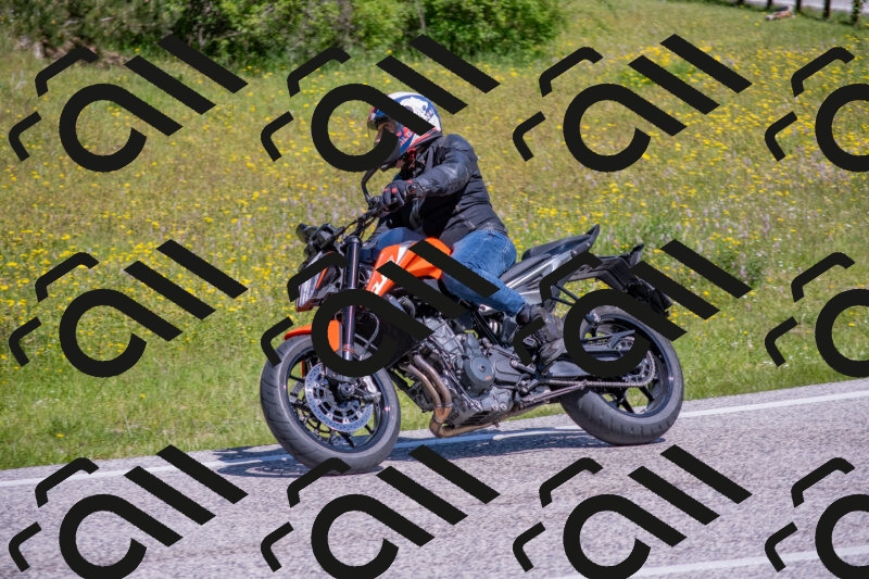 202506021108-DSC_7688_c4_