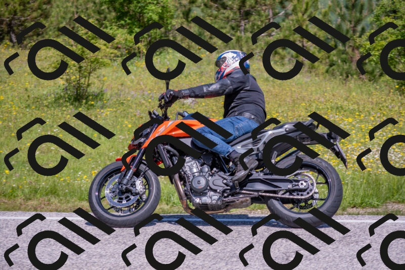 202506021108-DSC_7689_c4_