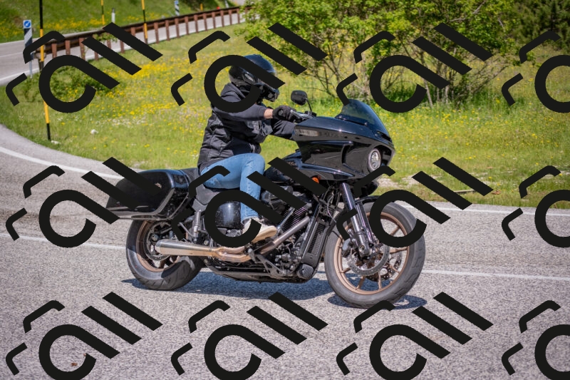 202506021109-DSC_7699_c4_