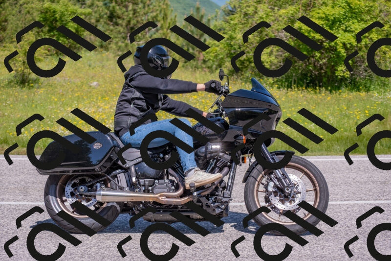 202506021109-DSC_7700_c4_