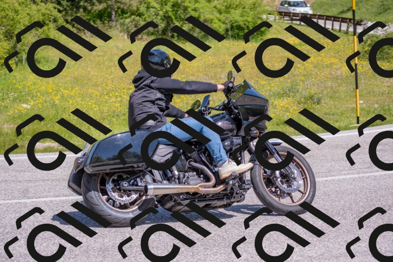 202506021109-DSC_7701_c4_