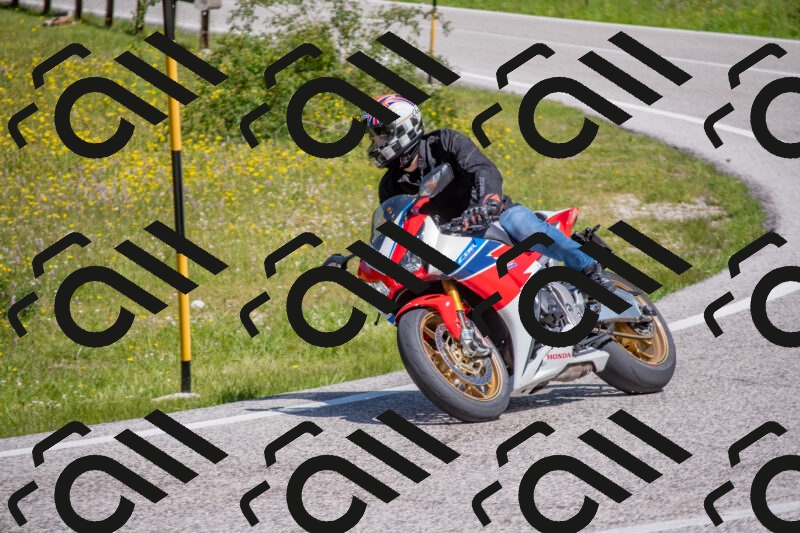 202506021110-DSC_7709_c4_