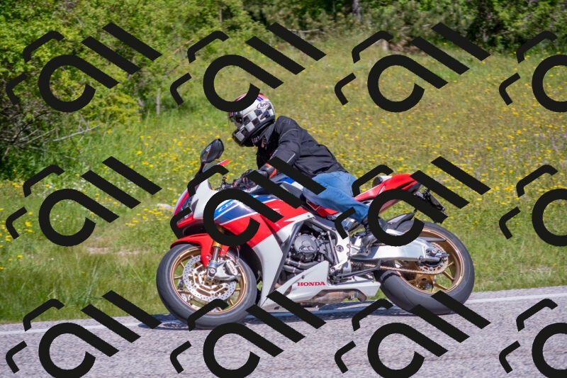 202506021110-DSC_7710_c4_