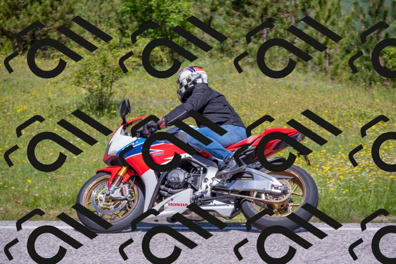 202506021110-DSC_7711_c4_