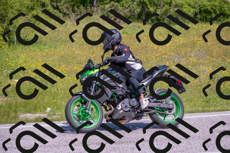 202506021110-DSC_7717_c4_