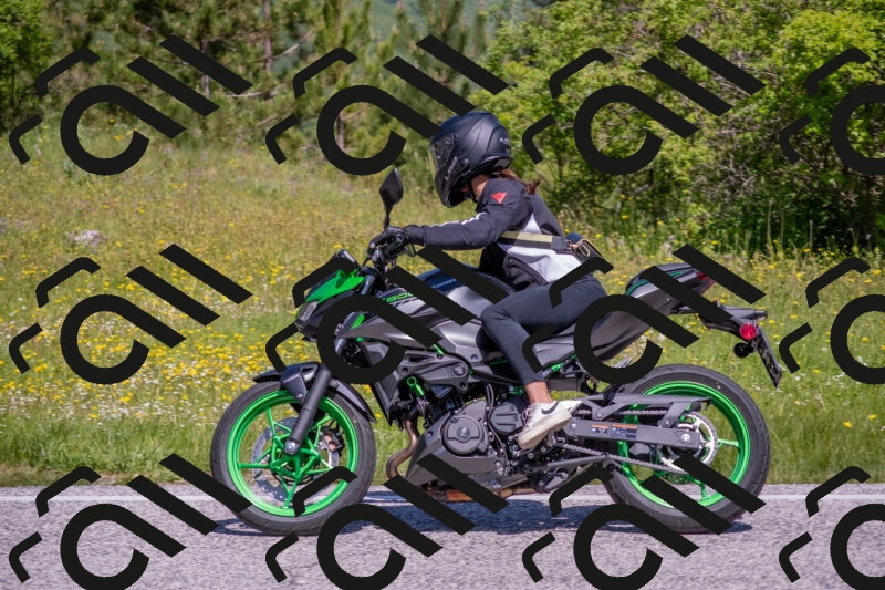 202506021110-DSC_7718_c4_