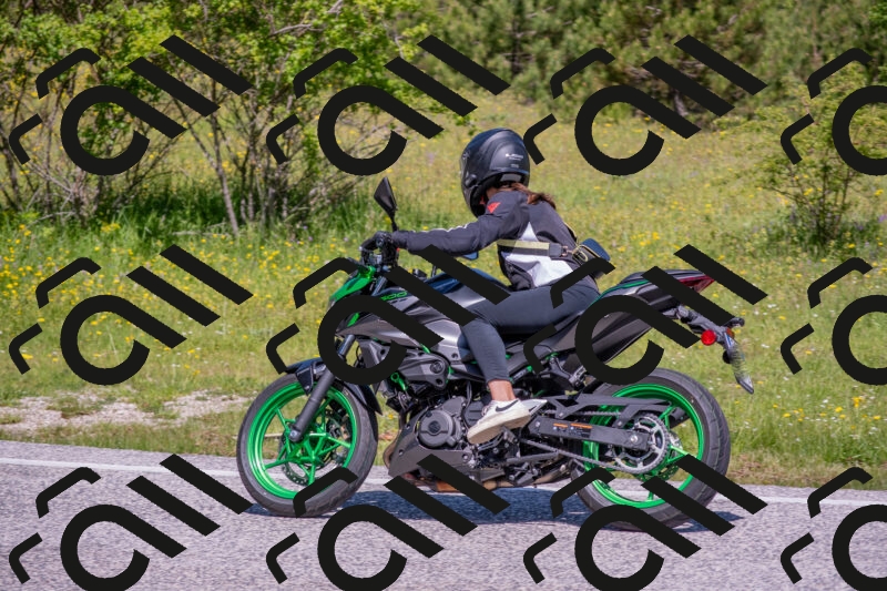 202506021110-DSC_7719_c4_