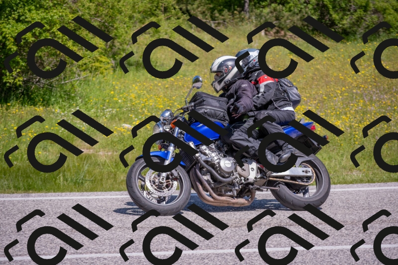 202506021113-DSC_7725_c4_