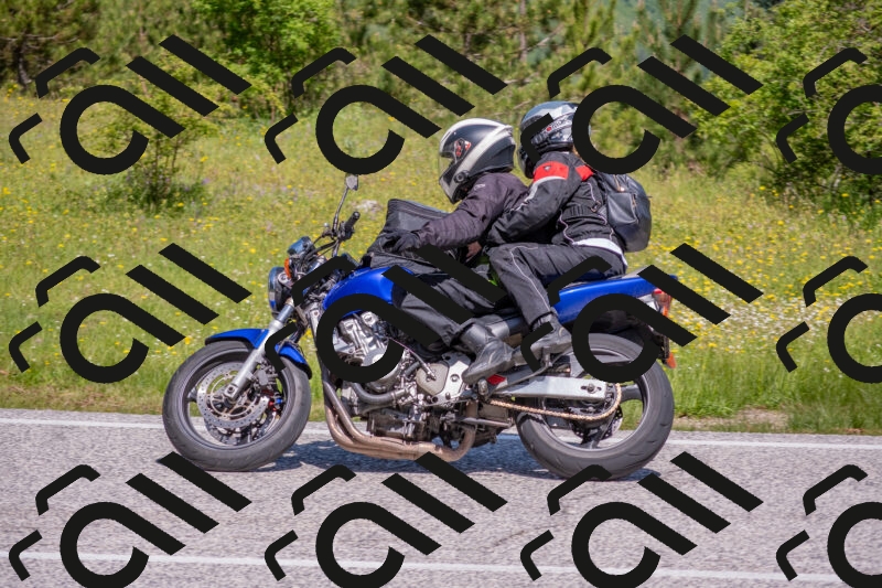 202506021113-DSC_7726_c4_