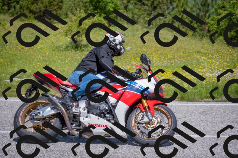 202506021113-DSC_7728_c4_